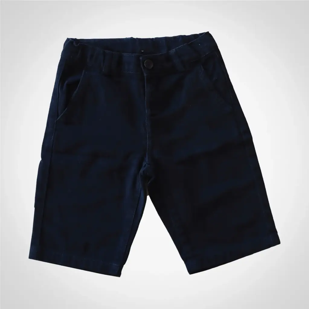 BERMUDA BASIC  AIS